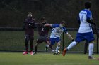 MSoc vs Springfield  Men’s Soccer vs Springfield College. : Wheaton, MSoccer, MSoc, Men’s Soccer